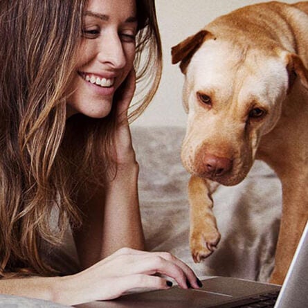 Žena so psom sa pozerajú do počítača