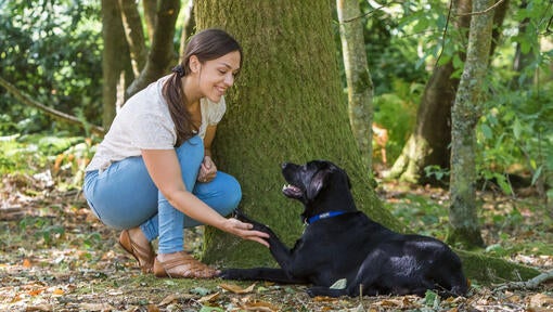Žena sa prikrčila so psom pri strome