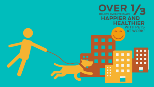 Viac ako 1/3 verí, že zamestnanci sú šťastnejší a zdravší s domácimi zvieratami v práci