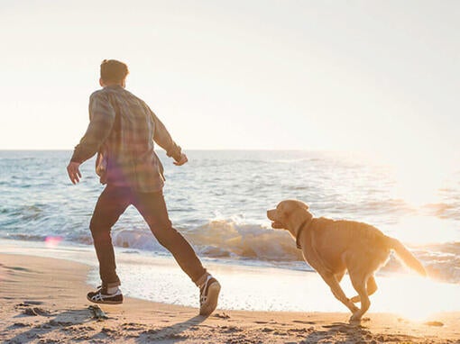 Muž a pes bežiaci na pláži