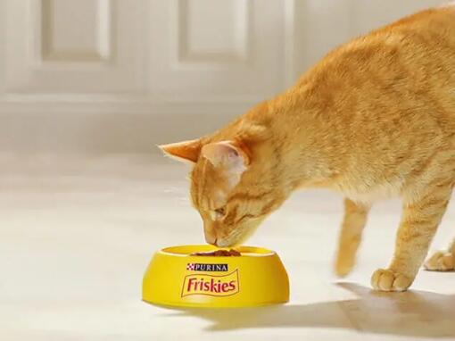 Friskies krmivo pre mačky​