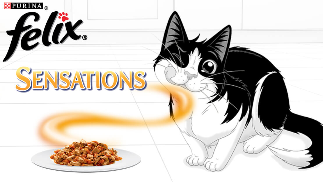 Krmivo pre mačky Felix Sensations