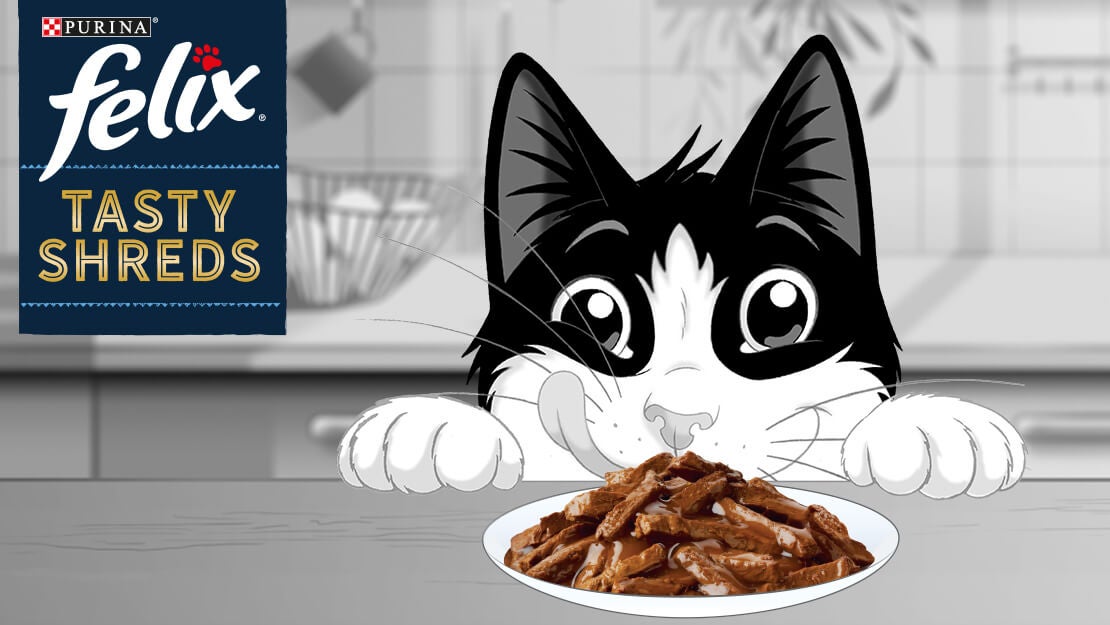 Krmivo pro kočky Felix Tasty Shreds