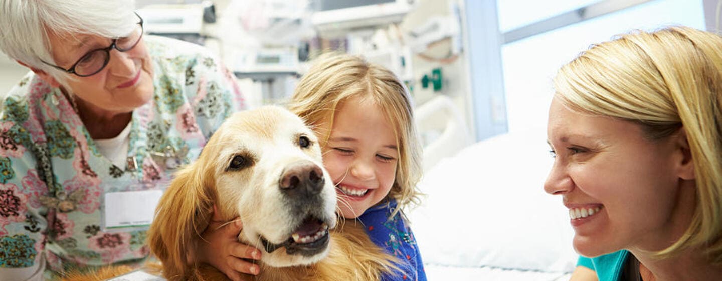 10 najlepších terapeutických psov a ich poslanie