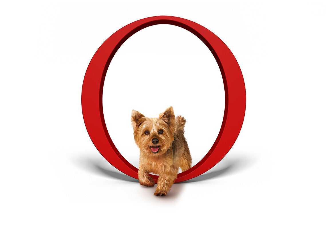 Pes prechádzajúca okolo, s logom Purina ONE®