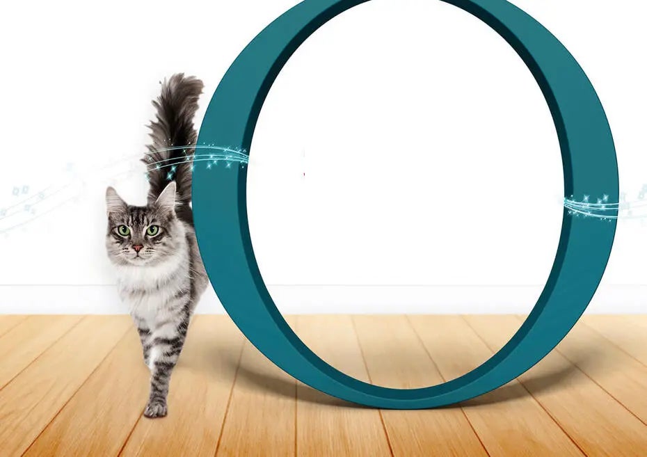 Kočka stojící vedle zeleného kola, loga Purina ONE®