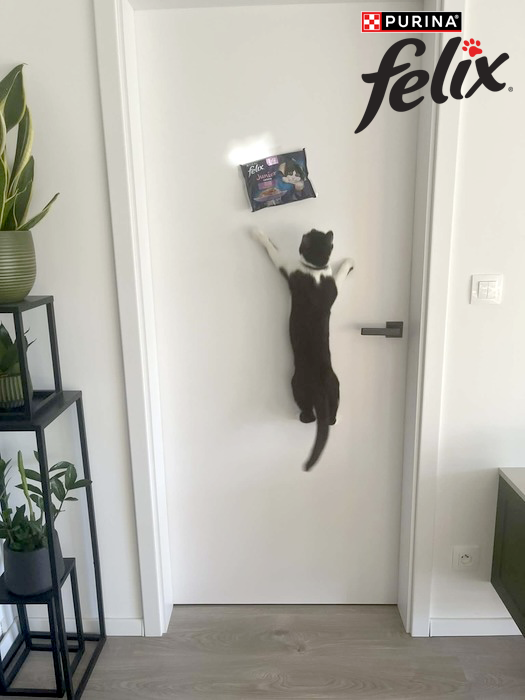 Lietajúca mačka Lexi - pán Juraj víťaz fotosúťaže Felix®