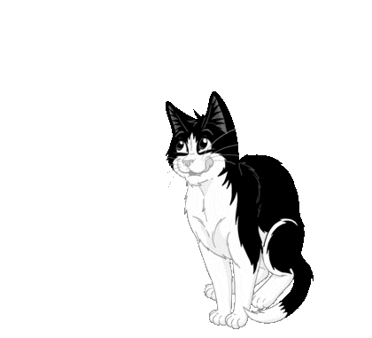 felix