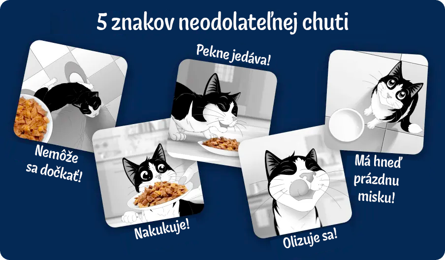 Zábavný banner, ako mačkovi Felixovi chutí Purina Felix®