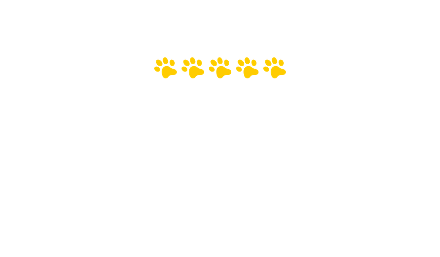Recenzia produktu Purina Felix®