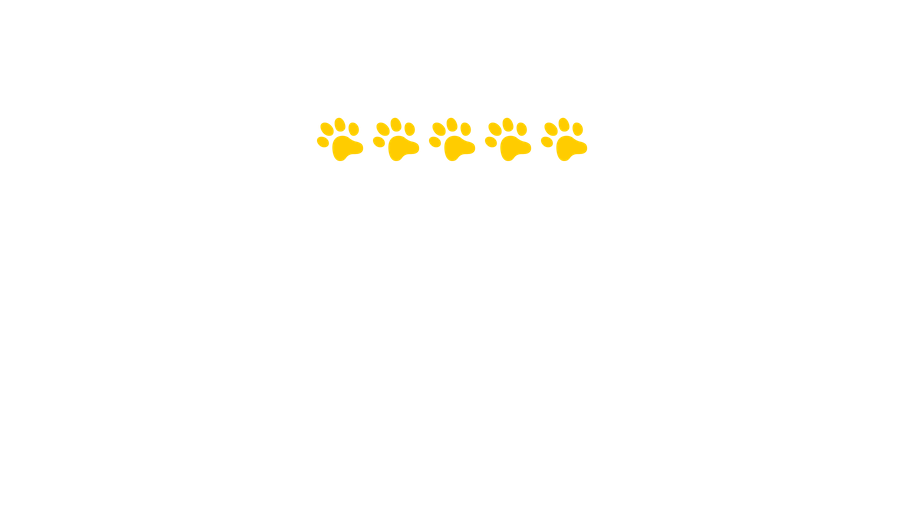 Recenzia produktu Purina Felix®