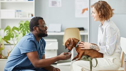 Šteniatko v čakárni s veterinárom a majiteľom