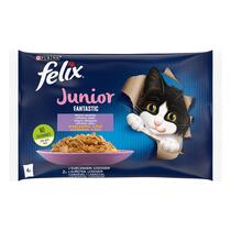 FELIX Fantastic JUNIOR Multipack kura/losos v želé 4x85g