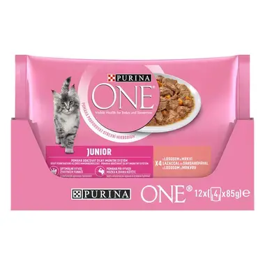 PURINA ONE Multipack JUNIOR mini filetky s lososom a mrkvou v šťave
