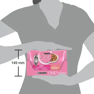 PURINA ONE Multipack JUNIOR mini filetky s lososom a mrkvou v šťave