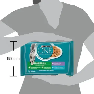 PURINA ONE Multipack Indoor mini filetky s tuniakom a zelenými fazuľkami / s teľacím a mrkvou v šťave