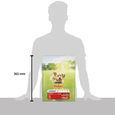 FRISKIES Active s hovädzim