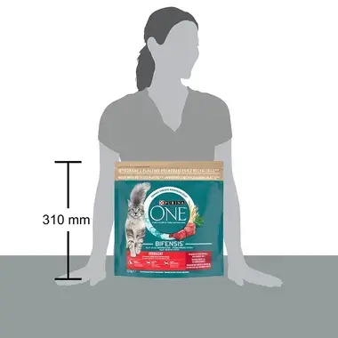 Purina ONE Sterilcat s hovädzím a pšenicou
