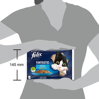 FELIX Fantastic Multipack losos/platesa v želé 4x85g