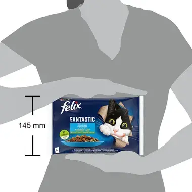 FELIX Fantastic Multipack losos/pstruh so zeleninou v želé 4x85g