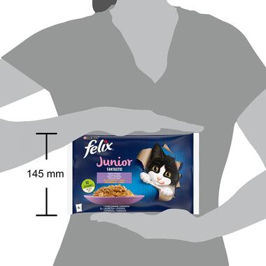 FELIX Fantastic JUNIOR Multipack kura/losos v želé 4x85g