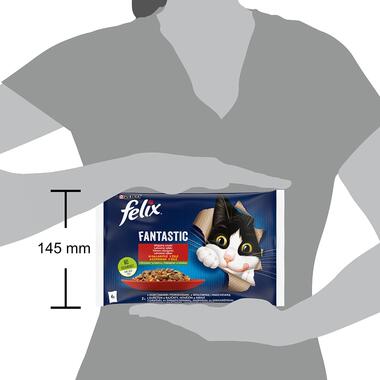 FELIX Fantastic Multipack kura s rajčinami/hovädzie s mrkvou 4x85g