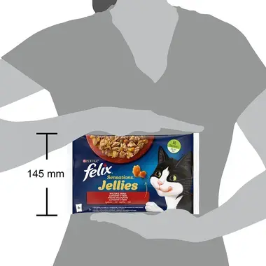 FELIX Sensations Jellies Multipack hovädzie/kura v och. želé 4x85g