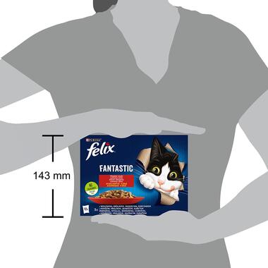 FELIX Fantastic Multipack kura/hovädzie/králik/jahňacie v želé 12x85g