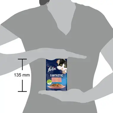 FELIX Fantastic kapsička s lososom v želé 85g