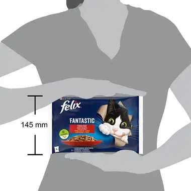 FELIX Fantastic Multipack hovädzie/kura v želé 4x85g