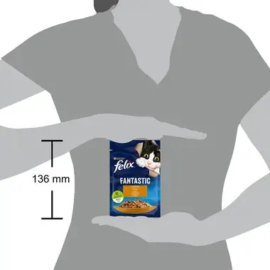 FELIX Fantastic kapsička s kuraťom v želé 85g