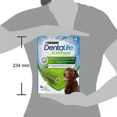 DENTALIFE ACTIVFRESH Large