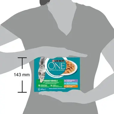 PURINA ONE Multipack Indoor mini filetky s kuraťom