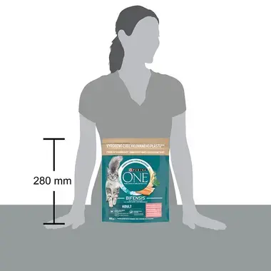 Purina ONE Adult s lososom a celozrnnými obilninami