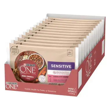 ONE MINI Dog Sensitive Losos ve šťave