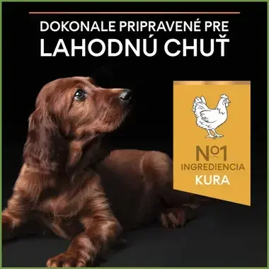 PRO PLAN SMALL & MINI PUPPY HEALTHY START granule pre psov s kuraťom
