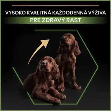 PRO PLAN SMALL & MINI PUPPY HEALTHY START granule pre psov s kuraťom