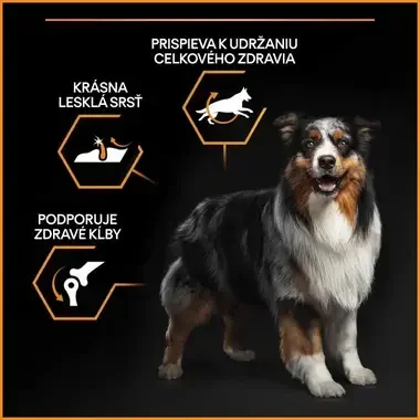 PRO PLAN MEDIUM ADULT EVERYDAY NUTRITION granule pre psov s kuraťom