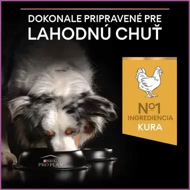PRO PLAN MEDIUM & LARGE ADULT 7+ AGE DEFENCE granule pre psov s kuraťom