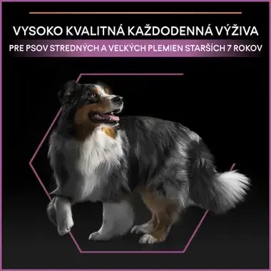 PRO PLAN MEDIUM & LARGE ADULT 7+ AGE DEFENCE granule pre psov s kuraťom