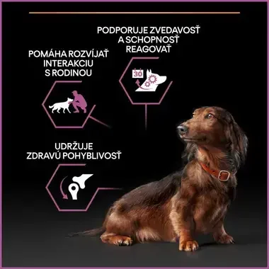 PRO PLAN SMALL & MINI ADULT 9+ AGE DEFENCE granule pre psov s kuraťom