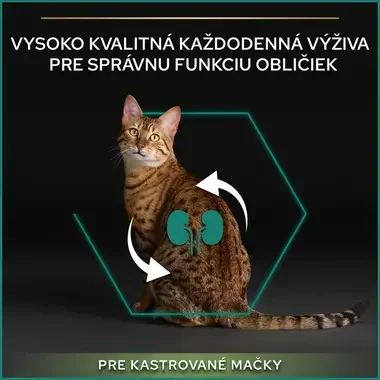 PRO PLAN CAT ADULT STERILISED RENAL PLUS suché krmivo pre mačky s morkou