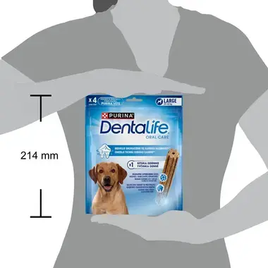 DENTALIFE dog LARGE