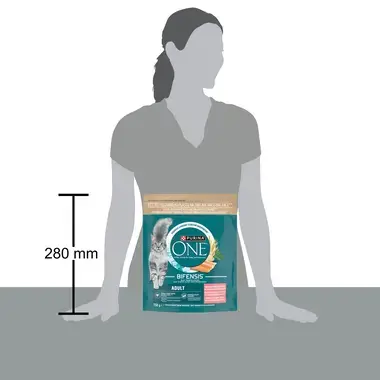 Purina ONE Bifensis Adult granuly pre mačky losos