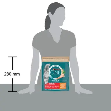 Purina ONE Bifensis Sensitive granule pre mačky morka