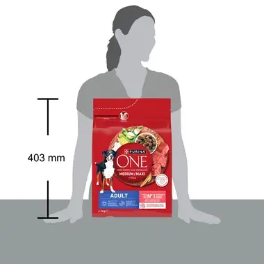 Purina ONE® Medium/Maxi Adult granule pre psov hovädzie