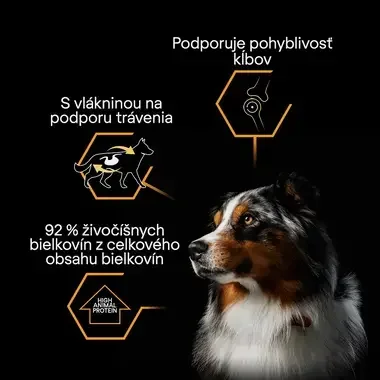 Austrálsky ovčiak s ikonami výhod krmiva PRO PLAN: podpora pohyblivosti kĺbov, vláknina na podporu trávenia a 92 % živočíšnyc