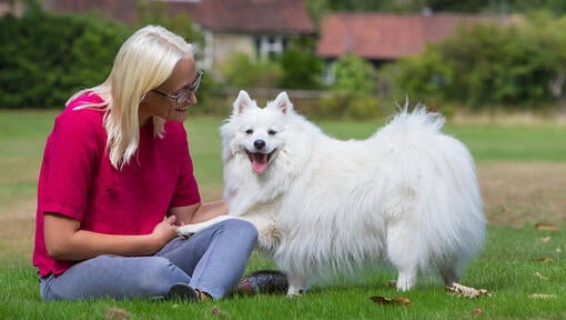 Žena sedí vonku so psom