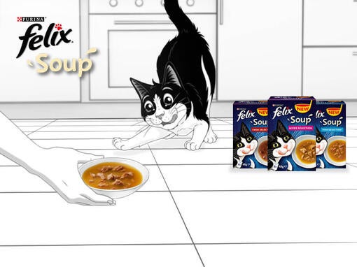 Objavte Felix Soup