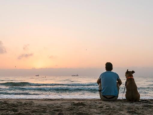 Muž a pes sledujú západ slnka